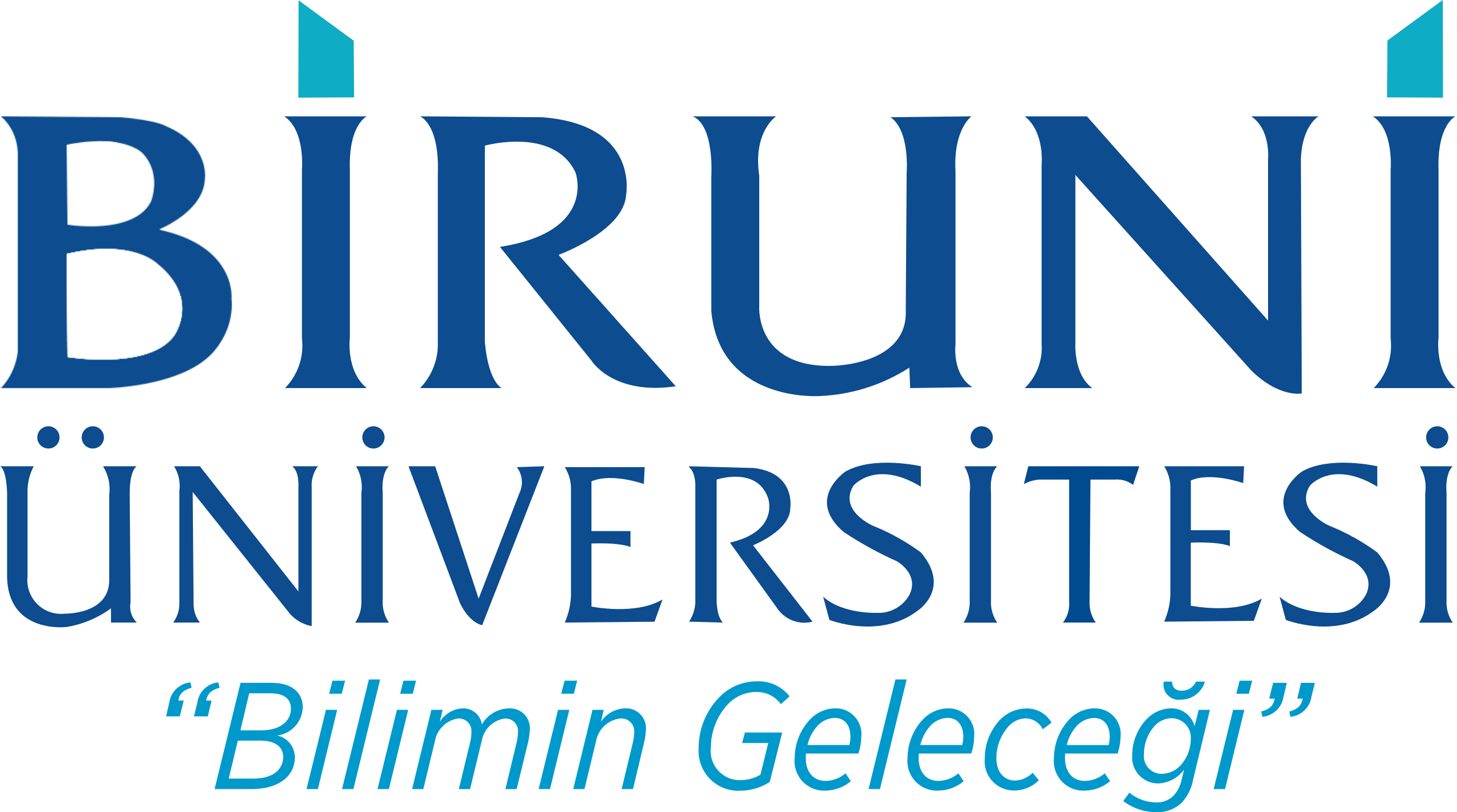 Biruni Üniversitesi